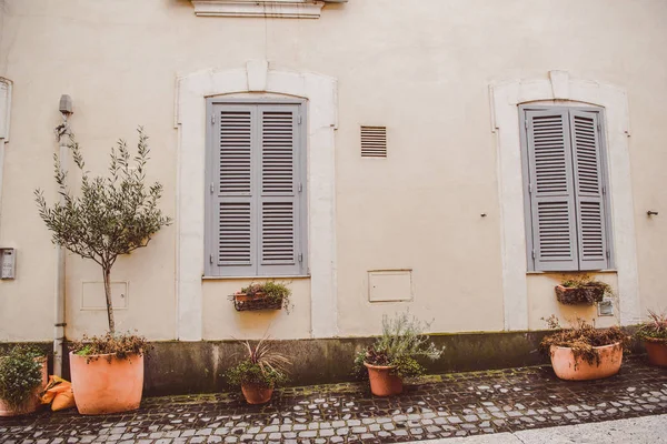 Potted plants on street near building in Castel Gandolfo, Rome suburb, Italy — Stock Photo
