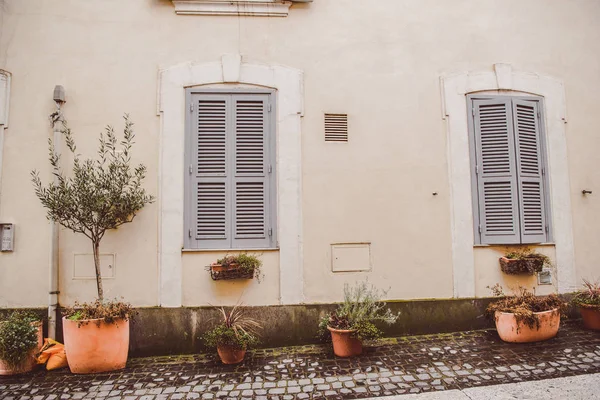 Plantas en maceta en la calle cerca del edificio en Castel Gandolfo, suburbio de Roma, Italia - foto de stock