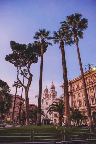 ROME, ITALIE - 10 MARS 2018 : vue du bas des palmiers sur la place de Rome en soirée — Photo de stock