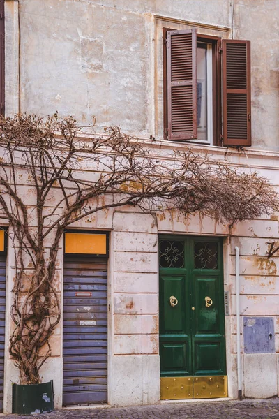 Vieux bâtiment avec arbre à Rome, Italie — Photo de stock