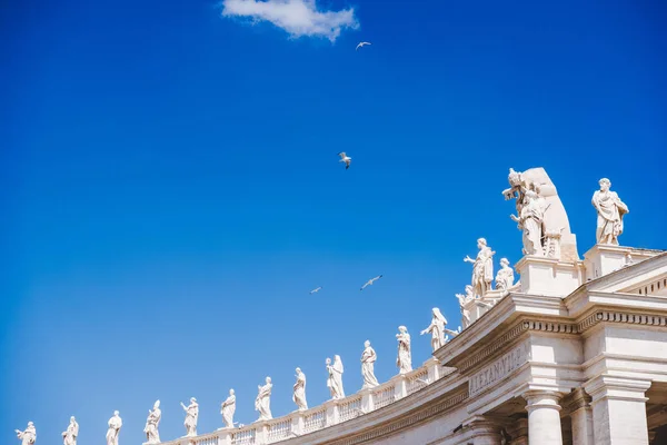 Blick von unten auf Vögel, die über Statuen am Petersplatz in Vatikan, Italien fliegen — Stockfoto