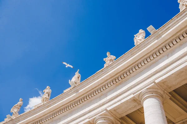 Bird flying — Stock Photo