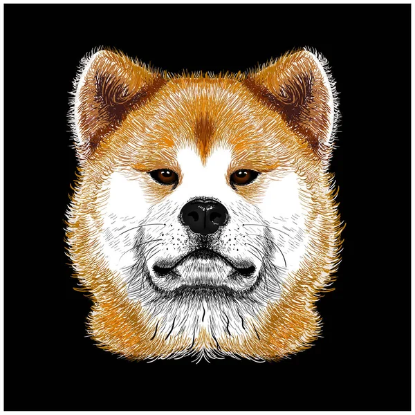 Akita Inu Dog Portrait Cartoon — 스톡 벡터