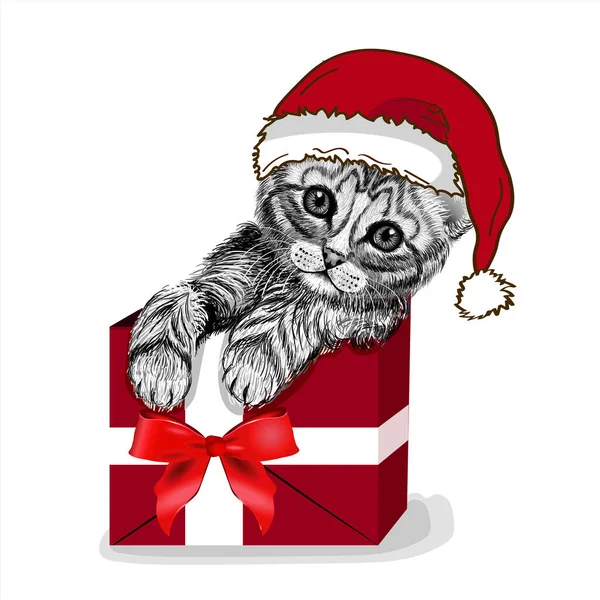 Gato Una Caja Regalo Lindo Gatito Pegatinas Pared Feliz Navidad — Vector de stock