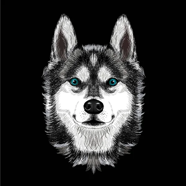 Хаскі Собака Головою Мультфільм Білий Фон — стоковий вектор