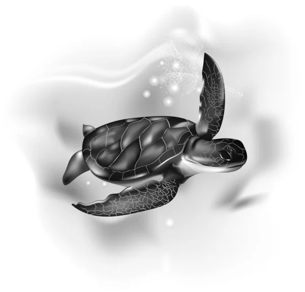 Χελώνα Στον Ωκεανό Θαλάσσια Χελώνα Ρεαλιστικό Καλλιτεχνικό Σχέδιο Θαλάσσιας Χελώνας — Διανυσματικό Αρχείο