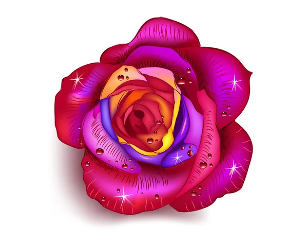 バラの花ベクトルイラスト — ストックベクタ