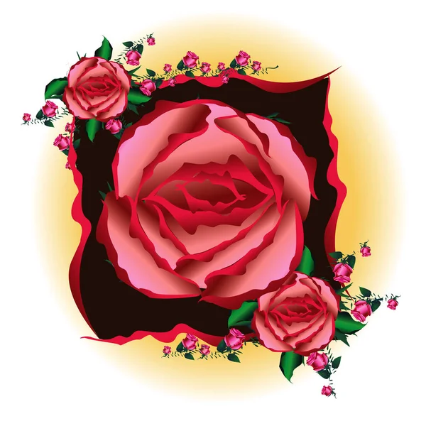 Rose Bloem Vector Illustratie — Stockvector