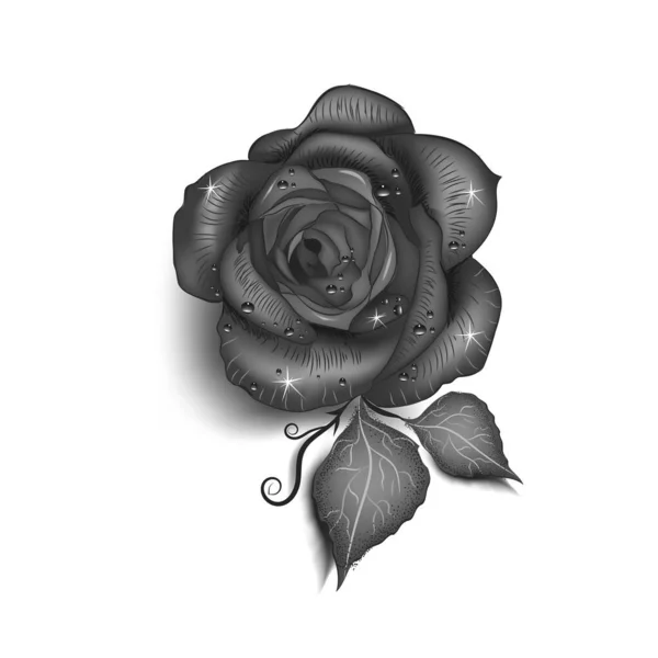 Illustration Vectorielle Fleur Rose — Image vectorielle