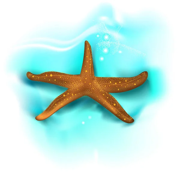 Vector Illustration Sea Star — Stock Vector