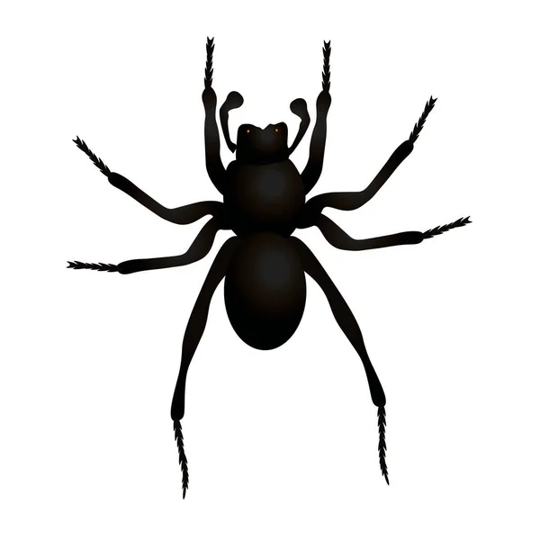 Vector Illustration Black Spider Vector Illustration — Stock Vector