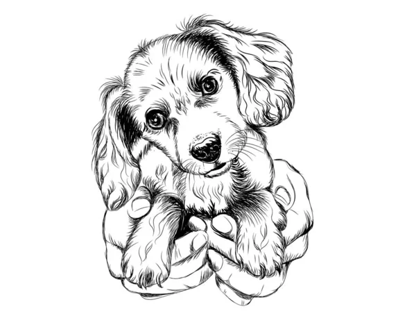 Spaniel Dog Puppy Arms Wall Sticker — Stock Vector