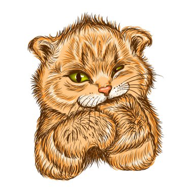 Şirin kedi yavrusu pati emiyor. Duvar etiketleri
