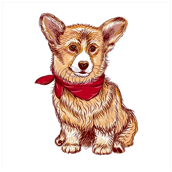 Corgi Puppy Hond Sticker Muur Tekening Getekend Artistiek Kleurenportret Van — Stockvector