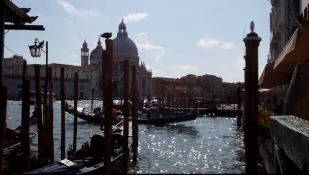 Venedig, Italien. Gondeln in einem Kanal verankert — Stockvideo