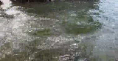 küçük dalgalar deniz kıyısına yakın