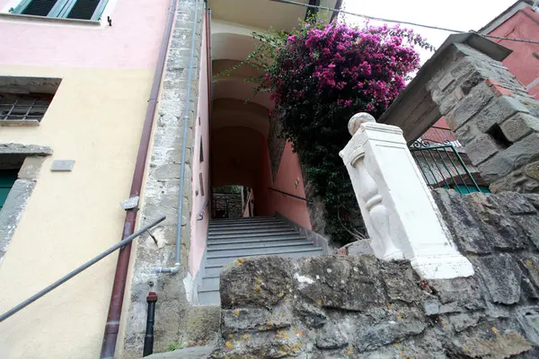 Entrada a casa con plantas y flores a — Foto de Stock