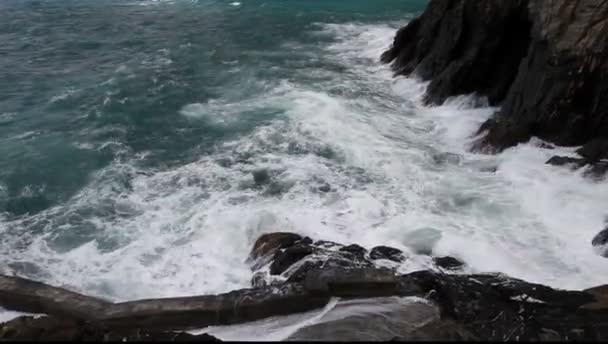 Vågorna kraschar på klipporna jag — Stockvideo