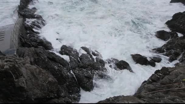 Vågorna kraschar på stenar g — Stockvideo