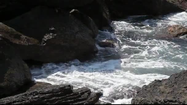 Havet vågor kraschar på stenar f — Stockvideo