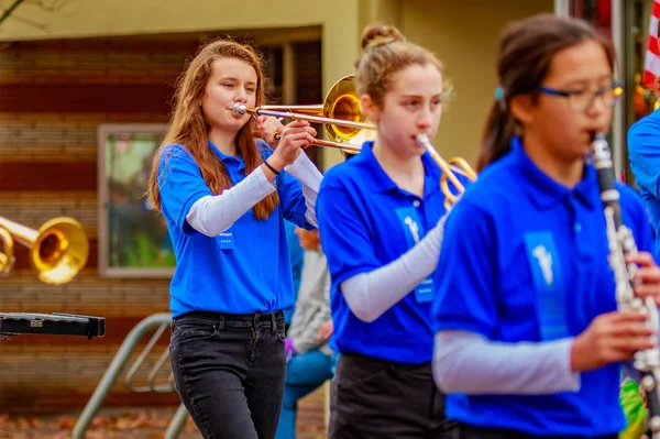 Gaziler günü geçit töreni 2016