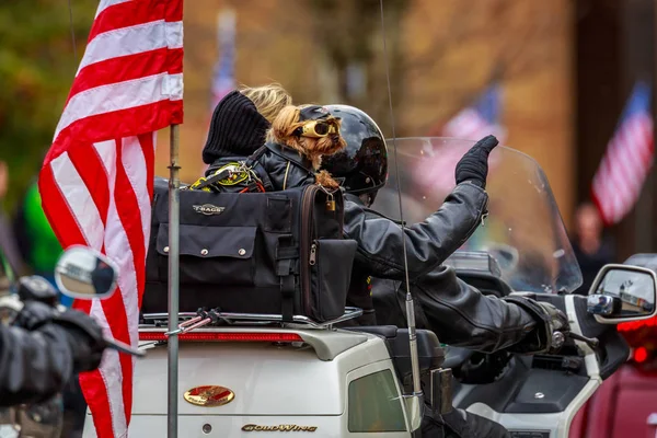 Veteranentag-Parade 2017 — Stockfoto