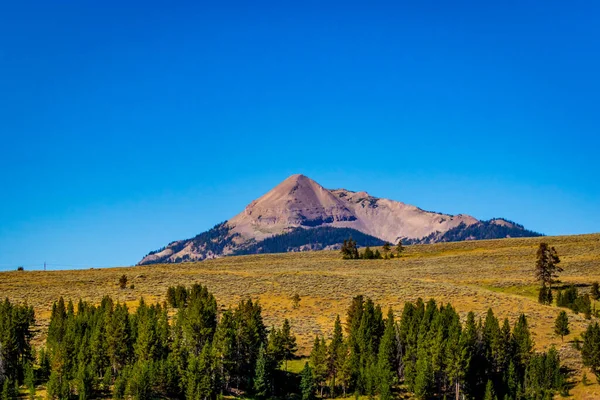 Antler Peak Jest Wybitnym Szczytem Górskim Gallatin Range Parku Narodowym — Zdjęcie stockowe