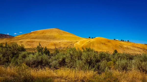 Painted Hills National Monument Mitchell Oregon Colorful Layers Show Geological — Foto de Stock