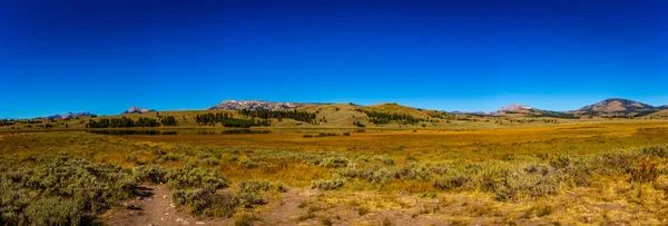 Jezioro Łabędzie Przed Pasmem Gallatin Park Narodowy Yellowstone — Zdjęcie stockowe