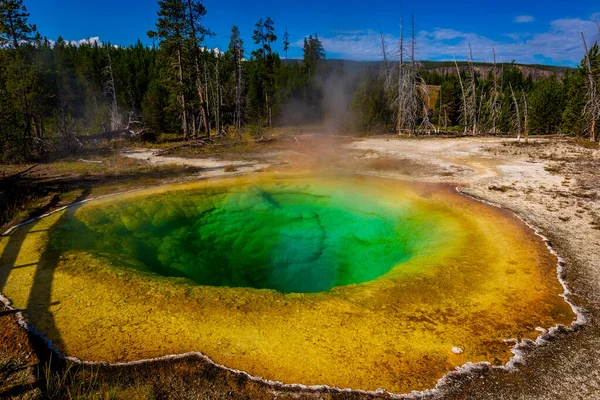 Morning Glory Pool Distinct Color Yellowstone National Park — Stock Photo, Image