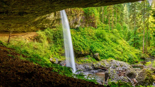 North Falls Silver Falls State Park — Stock fotografie