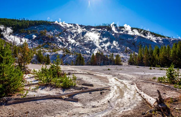 Roaring Mountain Numerous Fumaroles Its Slope Yellowstone National Park — Stock Photo, Image