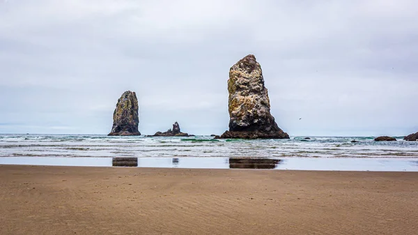 Needles Rock Formation Low Tide Cannon Beach Oregon — 스톡 사진