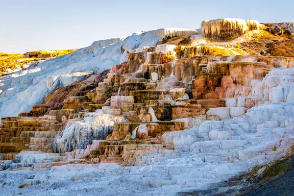 Travertine Terraces Mammoth Hot Springs Yellowstone National Park — Stock Photo, Image