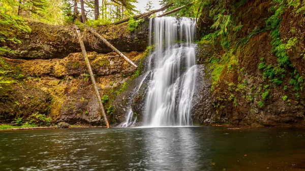 Upper North Falls Silver Falls State Park — Stock Photo, Image