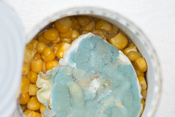 moldy canned corn in a jar. concept of spoiled unhealthy food. fungus. macro