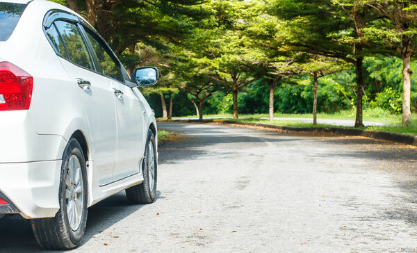 Дорожная поездка в горы