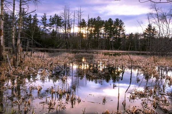 Sunset Small Pond — Stock Photo, Image