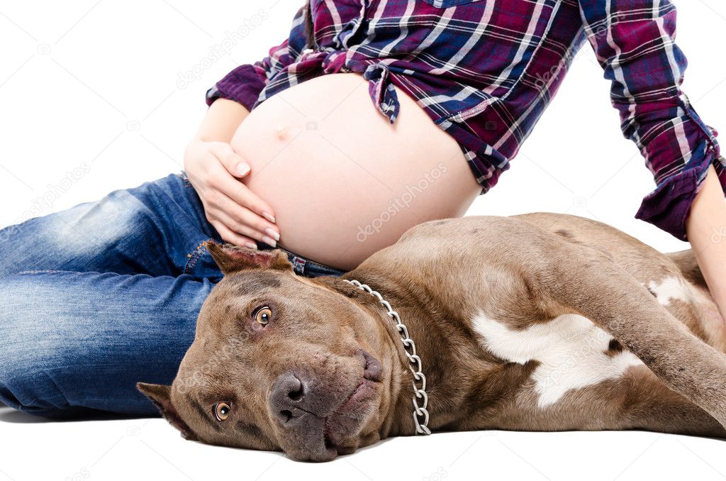Pregnant woman sitting with pitbull