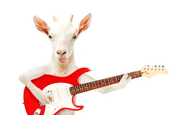 Legrační Koza Ukazující Jazyk Elektrickou Kytaru Izolované Bílém Pozadí — Stock fotografie