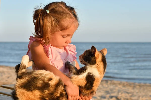 Cute Little Girl Sitting Cat Seashore — Stock Photo, Image