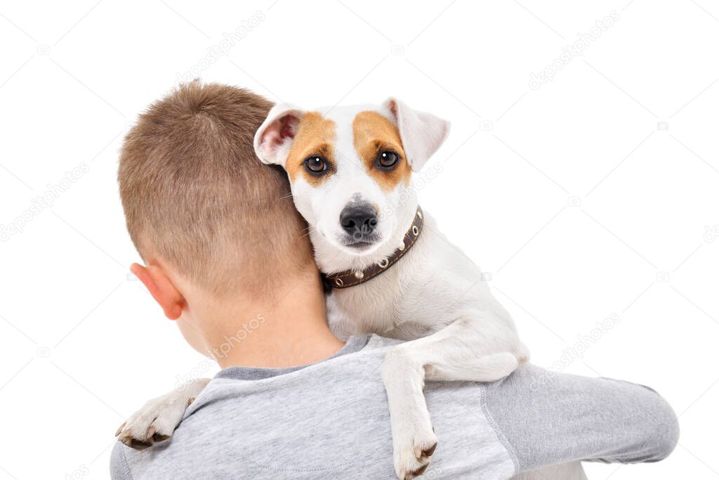 Parson Russell Terrier on the shoulder of his little owner isolated on a white background