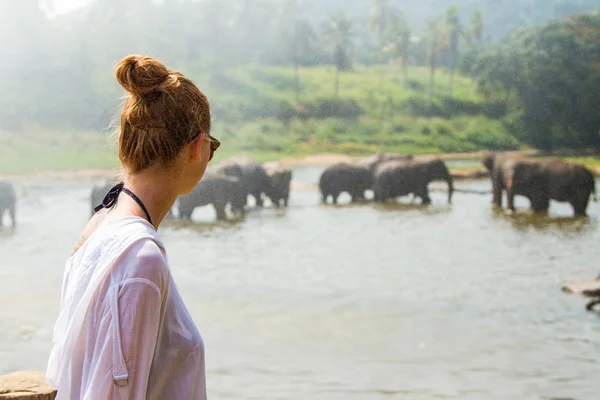 那个女孩正在看大象洗涤, 斯里兰卡 — 图库照片