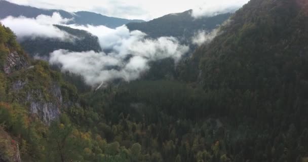 Национальный Парк Рица Абхазия Красивые Горы Облаках Полет Беспилотника Облаках — стоковое видео