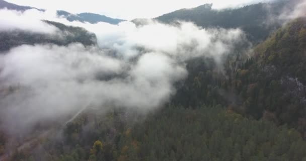Piękne Góry Przez Chmury Lot Drona Lotniczego Chmurach Dużej Wysokości — Wideo stockowe