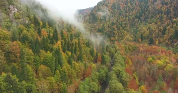 Wunderschöne Berglandschaft Herbstbäume Den Wolken Drohnenflug Aus Der Luft — Stockvideo