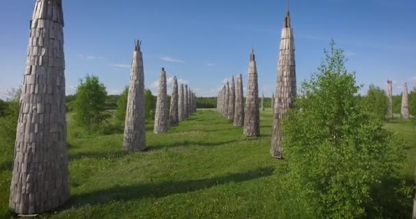 Nikola Lenivets Ryssland Konstföremål Universal Mind Kaluga Regionen Antenn — Stockvideo