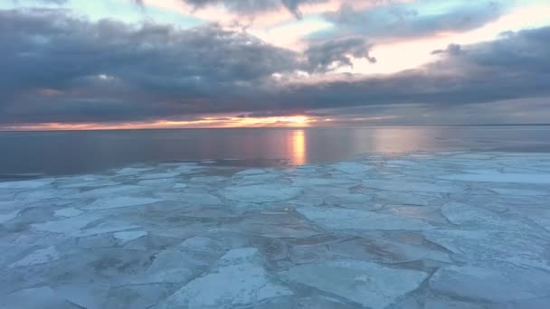凍結した水面の空中ドローンショット白海 コラ半島 ロシア 氷の上を飛んで氷の隙間が凍る — ストック動画