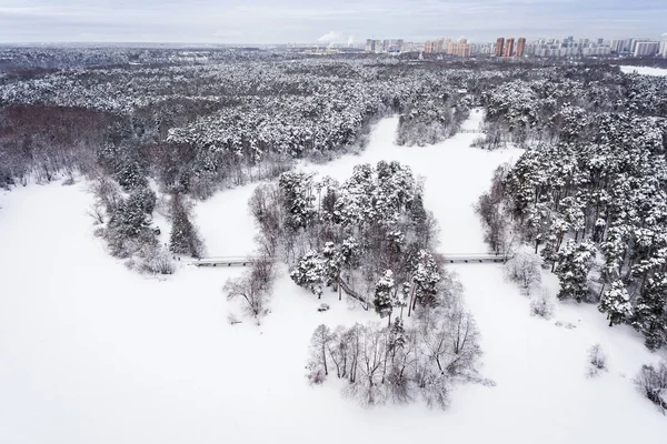 Winter forest and lake. Aerial