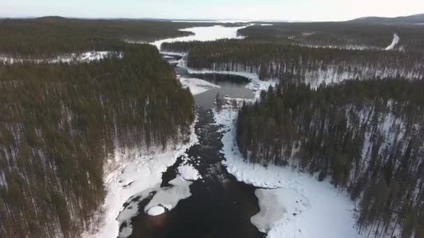 Vlucht Een Bevroren Rivier Winter Besneeuwd Bos Luchtfoto — Stockvideo